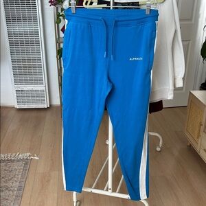 Alphalete Joggers. Large. Inseam: 29”.